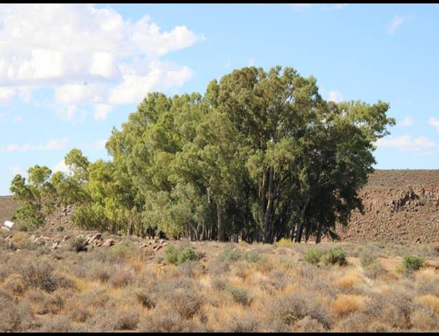 4,961HA FARM FOR SALE IN SUTHERLAND RURAL